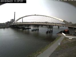 113701_463034346.jpg