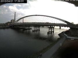173901_662159196.jpg