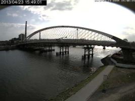 154901_224383547.jpg
