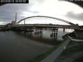 185002_494460838.jpg