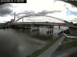 115002_293553417.jpg