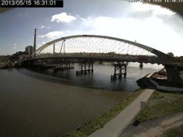 163101_946851947.jpg