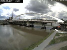 114501_907315534.jpg