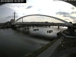 163401_372296590.jpg