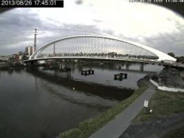 174501_895816386.jpg